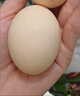 德青源A+級鮮雞蛋64枚6.4斤起 無(wú)抗生素 健身食材 營(yíng)養早餐禮盒裝 曬單實(shí)拍圖