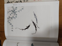 【當(dāng)當(dāng)】當(dāng)當(dāng)當(dāng)當(dāng)【套裝4冊(cè)】齊白石畫集 花鳥(niǎo)/果蔬/魚蝦蟹/山水人物 曬單實(shí)拍圖