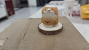 木雕小橘貓擺件手工藝品可愛的貓貓萌寵可愛手作造景貓咪桌面裝飾 小橘貓+底座 曬單實拍圖
