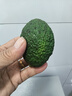 山姆大叔 金獎·哈斯牛油果云南孟連【閃送】當季鱷梨非即食新鮮水果禮盒 【80%選擇】精品果丨約100-130g 8枚【80%選擇-狠劃算】普裝 曬單實(shí)拍圖