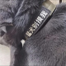 珊野狗狗項圈中大型猛犬專用頸圈可調(diào)節(jié)防脫狗脖圈金毛德牧馬犬狗脖套 XL項圈(建議60-130斤) 軍綠色 項圈 曬單實拍圖