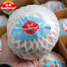 佳農泰國椰青新鮮椰子9個(gè)原箱當季水果進(jìn)口椰子香水耶青送開(kāi)椰器 整箱9粒（單果750g以上） 曬單實(shí)拍圖