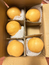 果益壽山東秋月梨【商超精品】當季新鮮脆甜冰糖梨子水果中秋送禮 5斤丨超值裝 單果250g+凈重4.5斤 曬單實(shí)拍圖