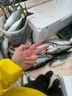 達億瓦（DAIWA）25新款深海船釣快抽鐵板竿海釣桿章紅金槍魚(yú)竿近海泛用竿十大品牌 1.63m 54B-4（1.63m獨節槍柄） 曬單實(shí)拍圖