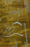 益生菌蜂蜜露開(kāi)塞蜂蜜栓孕婦產(chǎn)婦哺乳期兒童老人寶寶便秘高活性天然蜜十五周 10ml*10支 五盒送一盒【益生菌蜂蜜露】 曬單實(shí)拍圖