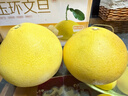 京覓浙江玉環(huán)文旦柚 2粒裝 單果2-2.5斤 生鮮水果文旦柚自營(yíng) 源頭直發(fā) 曬單實(shí)拍圖
