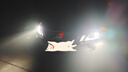雪萊特（Cnlight）45w汽車(chē)LED大燈D系列LED車(chē)燈超亮聚光改裝原車(chē)氙氣燈改LED燈D1S 曬單實(shí)拍圖