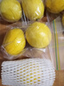 京鮮生 南非進(jìn)口檸檬 8粒裝 單果約80g+ 新鮮水果 源頭直發(fā) 包郵 曬單實(shí)拍圖