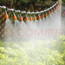 耐德斯特自動(dòng)霧化澆水澆花噴頭套裝除塵噴霧器微噴淋園藝大棚灌溉20組裝 曬單實(shí)拍圖