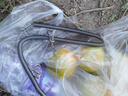 民間藝人鋼絲釣魚(yú)失手繩自動(dòng)伸縮魚(yú)竿大物防丟繩新款雙扣防脫繩防脫手 曬單實(shí)拍圖