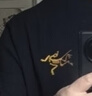 ARC'TERYX始祖鳥(niǎo) KRAGG COTTON LOGO SS 透氣 男子 棉質(zhì)短袖T恤 24K BLACK/黑色 L 曬單實(shí)拍圖