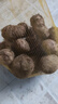 山東牛奶小芋頭2025農(nóng)家自種現(xiàn)挖毛芋頭新鮮芋艿香芋 5斤頭茬果【單果20-30g】?jī)?.5斤 曬單實(shí)拍圖