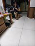 碧影柴犬幼犬寵物狗狗活體小狗活物幼崽小豆柴家養狗崽日本柴犬純種寵物級 精品柴犬弟弟 曬單實(shí)拍圖