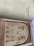 Anatomicum 解剖館 歡迎來(lái)到博物館系列 青少年英語(yǔ)課外閱讀科普讀物 精裝大開本 英文原版進(jìn)口原版書籍【中圖原版】 曬單實(shí)拍圖