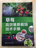 草莓高效基質(zhì)栽培技術(shù)手冊（現代化無(wú)土高效益栽培草莓） 曬單實(shí)拍圖