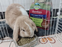 愛(ài)寶兔糧進(jìn)口兔飼料含提摩西草兔糧食小寵糧幼兔成老兔主糧添加益生元 愛(ài)寶成兔糧5磅（新日期） 曬單實(shí)拍圖