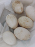 耕果妙新鮮大鵝蛋6枚1.56斤農(nóng)家散養(yǎng)新鮮鵝蛋130-160g/枚 源頭直發(fā) 包郵 曬單實(shí)拍圖