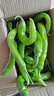 辣椒尖椒 新鮮薄皮青椒 現摘現發(fā) 蔬菜  虎皮辣椒 3斤 曬單實(shí)拍圖