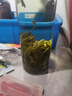 御溪山2025黃山毛峰綠茶新茶明前春茶安徽茶葉明前嫩芽禮盒裝袋裝罐裝 黃山毛峰250g*1罐 曬單實拍圖