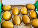 佳沛（zespri）新西蘭  陽(yáng)光金奇異果10粒禮盒巨大果單果約144-175g 水果 獼猴桃 曬單實(shí)拍圖
