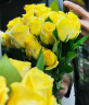斗南基地直批发玫瑰鲜花全国速递配送女友生日礼物家用水养插花 黄玫瑰18支+2支（防损） 实拍图