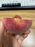 南步山東金秋紅蜜桃 水蜜桃映霜紅蜜桃子脆甜冬桃應季新鮮孕婦水果禮 4.5斤 精選中果【約11-13顆】 曬單實(shí)拍圖