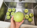 正宗新疆青森王林蘋(píng)果大果可選阿克蘇丑水蜜桃蘋(píng)果陽(yáng)光斑點(diǎn)蘋(píng)果F 凈重3斤大果【單果80-85mm】7個(gè)左右 曬單實(shí)拍圖