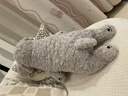 LIV HEART貴賓犬玩偶睡覺(jué)抱枕可愛(ài)狗狗毛絨兒童玩具陪睡公仔抱睡娃娃禮物女 瑟莎咪貴賓犬芝麻灰 L號（尺寸見(jiàn)詳情） 曬單實(shí)拍圖