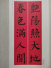 柳公權(quán)楷書集字春聯(lián)/春聯(lián)揮毫必備 曬單實(shí)拍圖