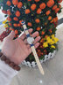 菲安妮（FION）手表女輕奢優(yōu)雅女表貝母石英女士腕表/送女友生日禮物 曬單實(shí)拍圖