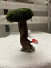 森淵（SENYUAN）魚缸造景裝飾莫斯樹迎客松生命之樹水族杜鵑根沉木巴西樹造景魚缸 高15厘米單頭(蘑菇頭直徑10cm) 曬單實拍圖