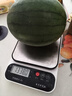 現摘現發(fā)2k西瓜當季手剝薄皮小糖丸西瓜新鮮水果冰糖子小西瓜 2-3斤（1-2個(gè)） 曬單實(shí)拍圖