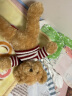 可爱毛衣泰迪熊公仔毛绒玩具40cm小熊玩偶床上抱枕娃娃情人礼物 实拍图