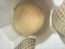 順豐直發(fā)山東肥城當季正宗水蜜桃大毛桃佛桃軟脆兩吃酸甜雙口爆汁 產(chǎn)地現摘水蜜桃4.5斤 新鮮特大果6個(gè) 曬單實(shí)拍圖
