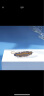 Alexandre De Paris新年礼物环球旅行-FAR WEST边夹Z羽毛礼盒 晒单实拍图