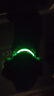 洛馬斯（luomasi）狗狗發(fā)光項圈寵物頸圈遛狗燈夜光脖圈牽引繩大中小型犬充電可調節 USB充電-綠色項圈 S-（建議15-30斤） 曬單實(shí)拍圖