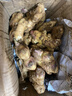 產(chǎn)地直發(fā)云南小黃姜新鮮生姜黃姜調味料新鮮蔬菜生鮮 3斤 裝 曬單實(shí)拍圖