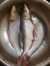 SHIMANO500米魚(yú)線(xiàn)線(xiàn)日本進(jìn)口高端東麗原絲釣魚(yú)線(xiàn)線(xiàn)大物尼龍線(xiàn)線(xiàn)主線(xiàn)線(xiàn)子 【東の原絲】500M【透明子線(xiàn) 線(xiàn)】 0.4號 曬單實(shí)拍圖