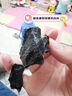 寶姿萊撕拉式吸去黑頭面膜套裝清潔黑頭鼻導(dǎo)出竹炭貼泥膜男女士涂抹面膜 曬單實(shí)拍圖