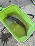 漁技碳素支架釣魚(yú)竿超炮臺支架多功能魚(yú)竿架桿大物釣魚(yú)臺釣椅釣箱架竿 2.1m 【湖庫野釣版】回彈羊角 好用不塌腰 曬單實(shí)拍圖