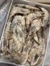 鮮京采 原裝進(jìn)口厄瓜多爾白蝦 凈重3.3斤 大號30-40規格 50-66只/盒 曬單實(shí)拍圖