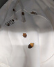 LDBE設計感刺繡松鼠連帽衛(wèi)衣女2025新款加絨加厚寬松慵懶風春季外套潮 杏色【秋冬加絨】 L 【105-130斤】 曬單實拍圖
