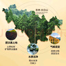 北京同仁堂六味地黃丸（濃縮丸）300丸  遺精盜汗頭暈耳鳴腰膝酸軟 曬單實(shí)拍圖