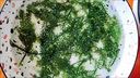 七街八巷海葡萄新鮮即食鹽漬海洋蔬菜植物魚子醬海藻帶菜水葡萄海草y 【普通裝】海葡萄*1包（送蘸料） 曬單實(shí)拍圖