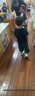 基諾浦寶寶學(xué)步鞋 18個(gè)月-5歲春秋款兒童鞋子 軟底男女機能鞋GY1539 GW1539A白色/綠色/灰色/銀色 25.5 160mm 適合腳長(cháng)156-165mm 曬單實(shí)拍圖