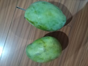 京覓四川凱特芒果新鮮水果凈重8斤單果410g+源頭直發(fā)包郵 曬單實(shí)拍圖