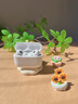 華強北新款【官配正品丨頂配Pro9代】華強北藍牙耳機Air無(wú)線(xiàn)Pro2降噪國家補貼適用蘋(píng)果iPhone17/16入耳式Pods 【2025新款丨全功能頂配版】 ANC主動(dòng)降噪+滑動(dòng)調音+空間音頻 曬單實(shí)拍圖
