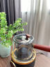 唐豐玻璃煮茶壺電陶爐煮茶器套裝小型燒水煮茶爐辦公室養生茶壺耐高溫 茶小生電陶爐(黑)+輕靈壺(鉛灰) 曬單實(shí)拍圖