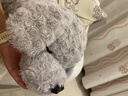 LIV HEART貴賓犬玩偶睡覺(jué)抱枕可愛(ài)狗狗毛絨兒童玩具陪睡公仔抱睡娃娃禮物女 瑟莎咪貴賓犬芝麻灰 L號（尺寸見(jiàn)詳情） 曬單實(shí)拍圖