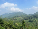 佳沛（zespri）新西蘭  陽(yáng)光金奇異果18粒超大果原箱單果重約173-204g 獼猴桃 曬單實(shí)拍圖